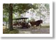 Kentucky Horse Park