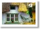 Village Scenes