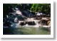 Discover Jamaica