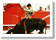Bullfighting