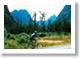 Fiordland