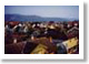 Norwegian Hospitality