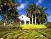 Half Moon, Rose Hall, Jamaica