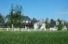 Fox Hollow Bed and Breakfast, Bozeman, Montana