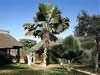 Coralia Club Le Baobab, Mbour, Senegal