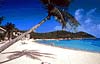 Best Western Emerald Beach Resort, Charlotte Amalie, United States Virgin Islands