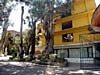 Hotel Hacienda del Molino, Puebla, Mexico