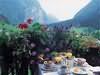 Hoteldorf Gruner Baum, Bad Gastein, Austria