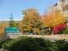 Wintergreen Resort, Wintergreen Ski Area, Virginia
