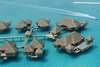 St Regis Resort, Bora Bora, French Polynesia