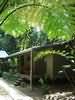 Daintree Cape Tribulation Heritage Lodge, Cape Tribulation, Australia