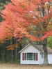 Maple Grove Cottages, Brandon, Vermont