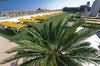 Hotel Merce, Pineda de Mar, Spain
