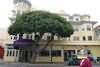 Glenmore Plaza Hotel, Catalina Island, California